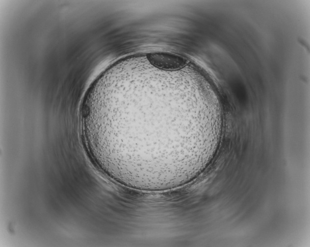 X0000098041467200803281420