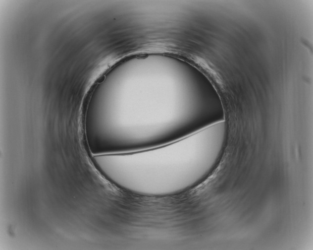 X0000098041469200803281420