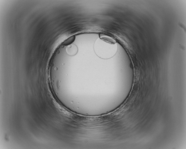 X0000098041471200803281420
