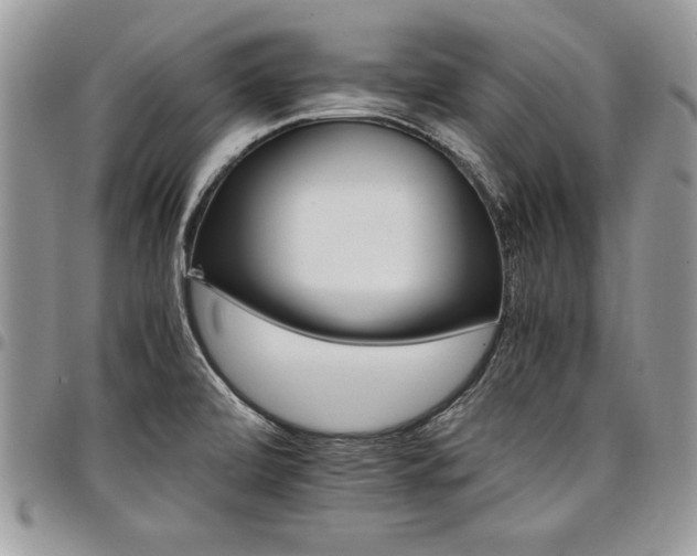X0000098041472200803281420