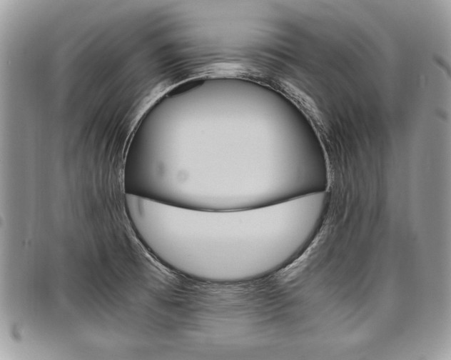 X0000098041473200803281420