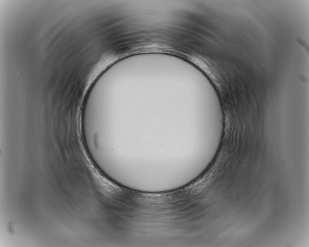 X0000098041474200803281420
