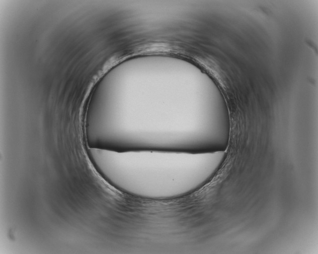X0000098041475200803281420