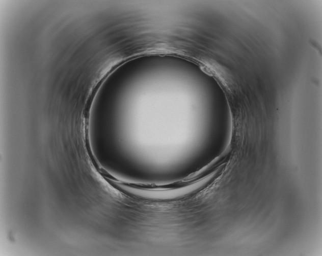 X0000098041476200803281420