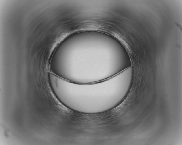 X0000098041477200803281420