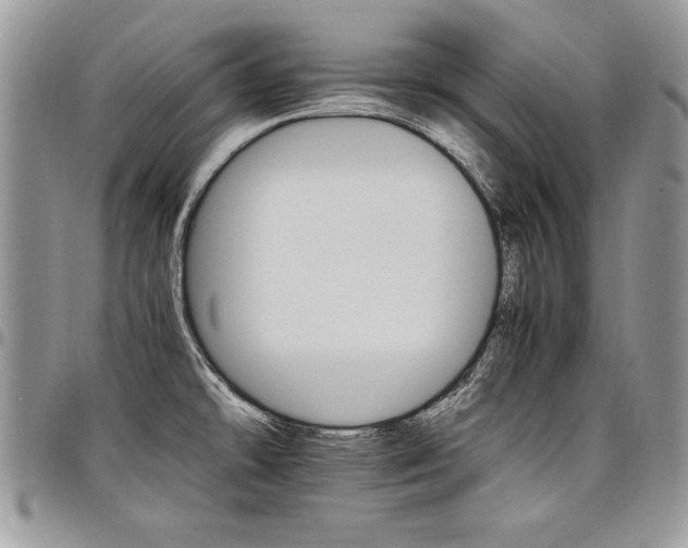X0000098041478200803281420