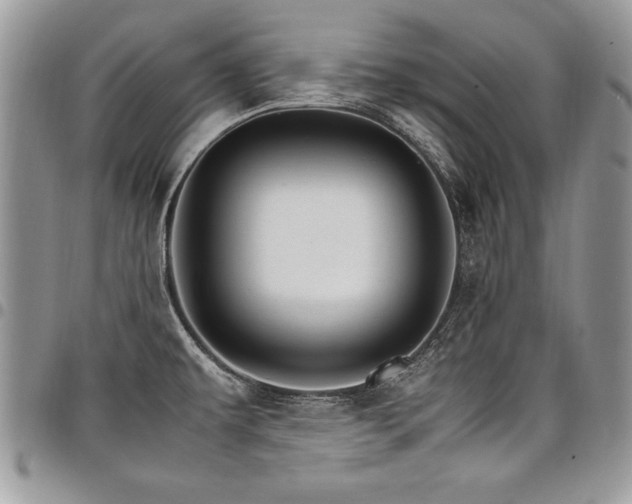 X0000098041479200803281420
