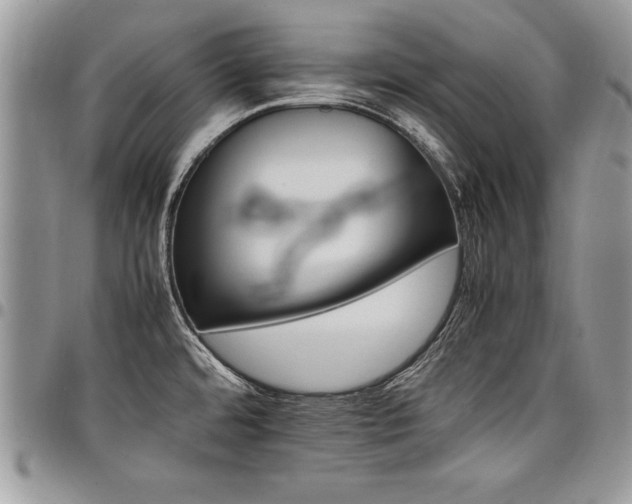 X0000098041480200803281420