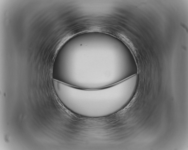 X0000098041481200803281420