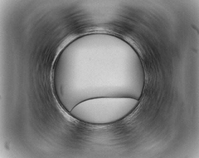 X0000098041482200803281420