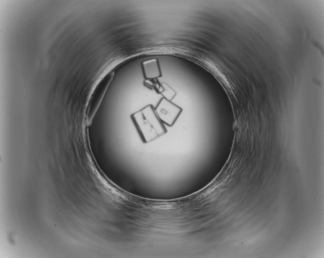 X0000098041484200803281420
