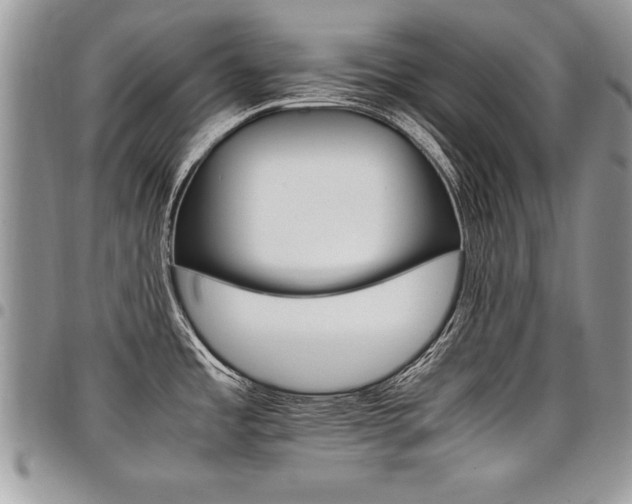 X0000098041485200803281420