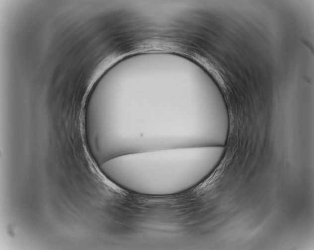 X0000098041486200803281420