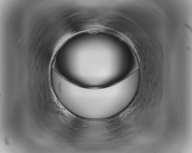 X0000098041488200803281420