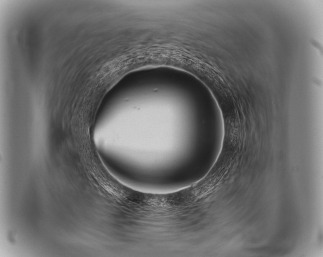 X0000098041489200803281419