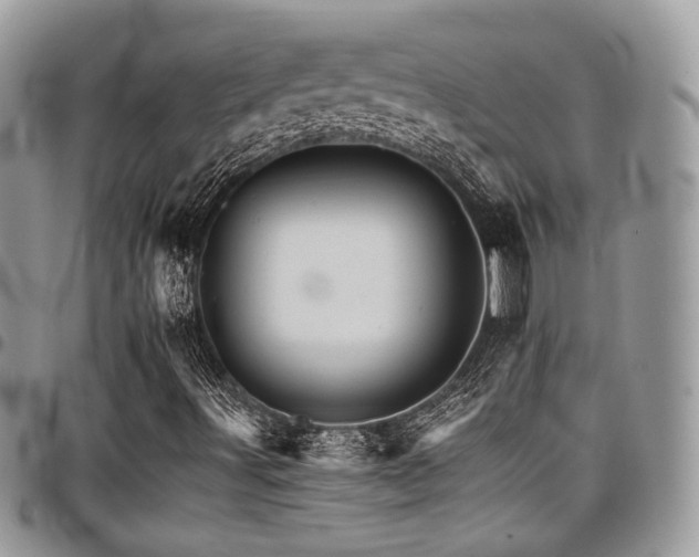 X0000098041491200803281419