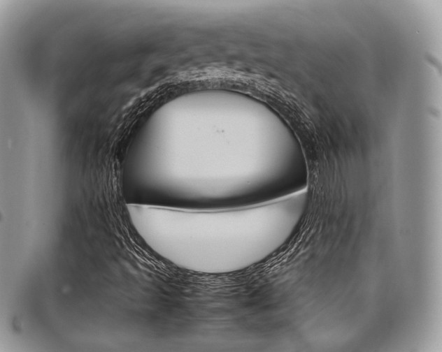 X0000098041493200803281419