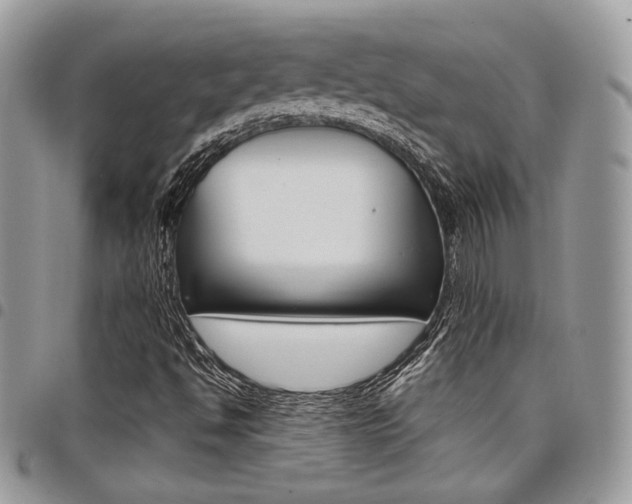 X0000098041494200803281419