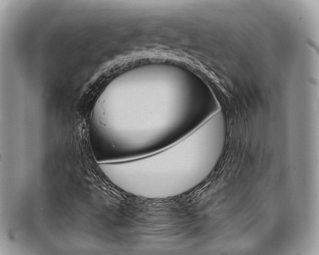 X0000098041495200803281419