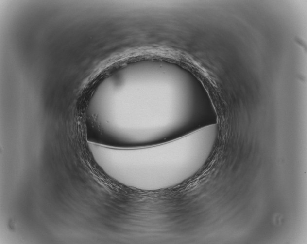 X0000098041496200803281419
