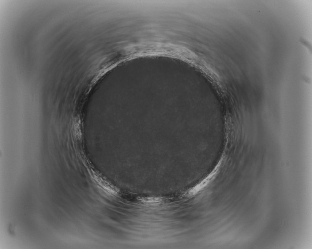 X0000098041497200803281419