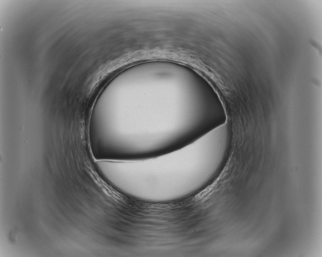 X0000098041499200803281419