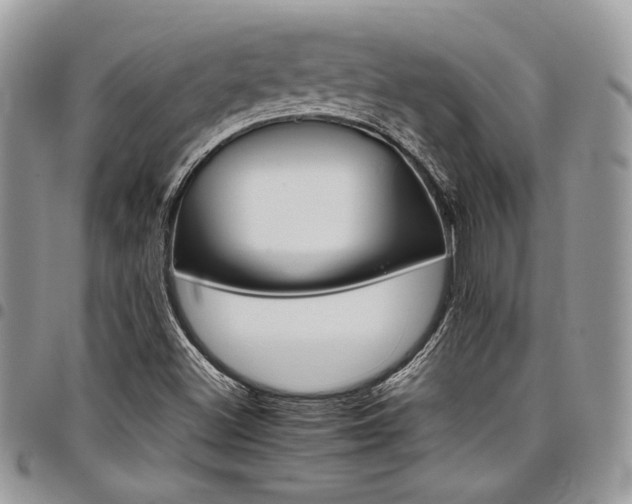 X0000098041500200803281419