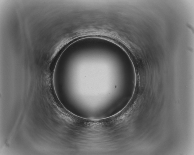 X0000098041501200803281420