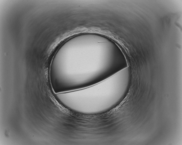 X0000098041503200803281420