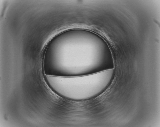 X0000098041504200803281420