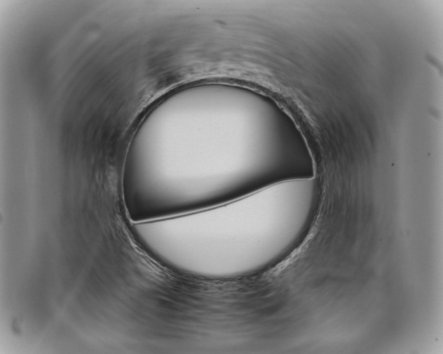 X0000098041505200803281420