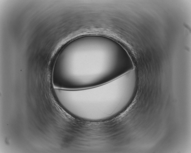 X0000098041506200803281420
