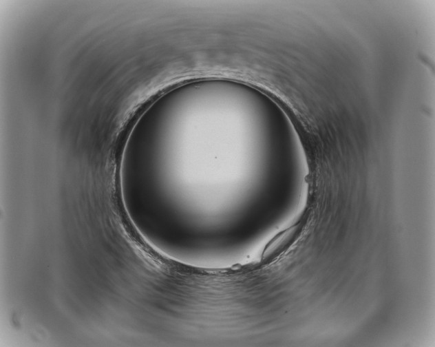 X0000098041507200803281420