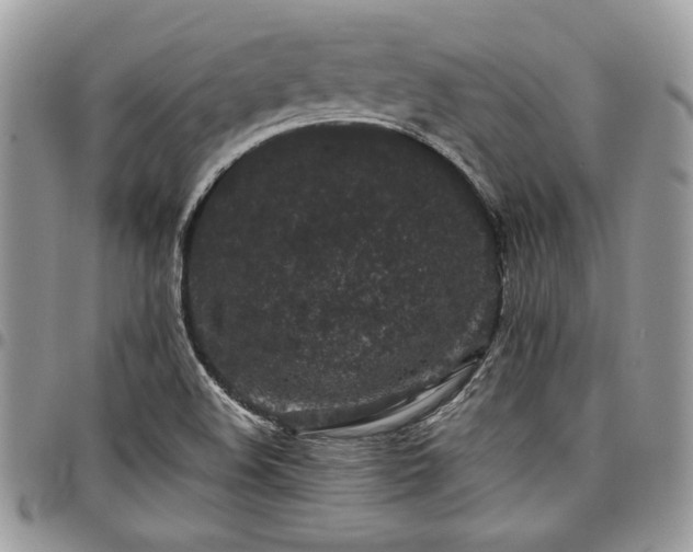 X0000098041508200803281420