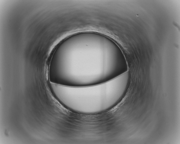 X0000098041510200803281420