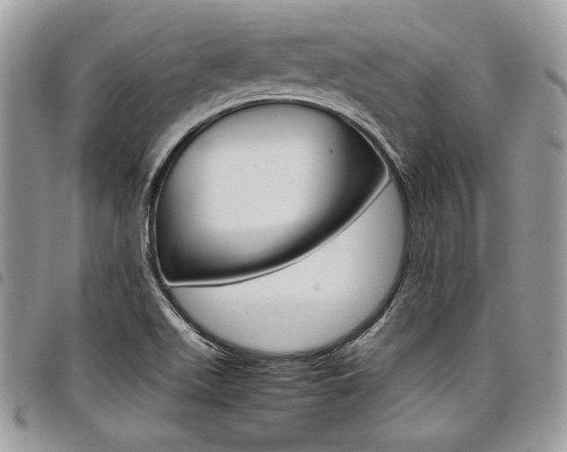 X0000098041511200803281420
