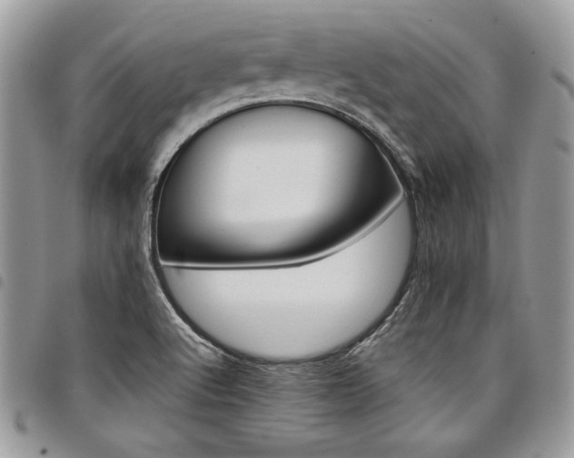 X0000098041512200803281420