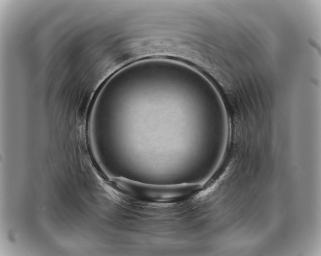 X0000098041513200803281420