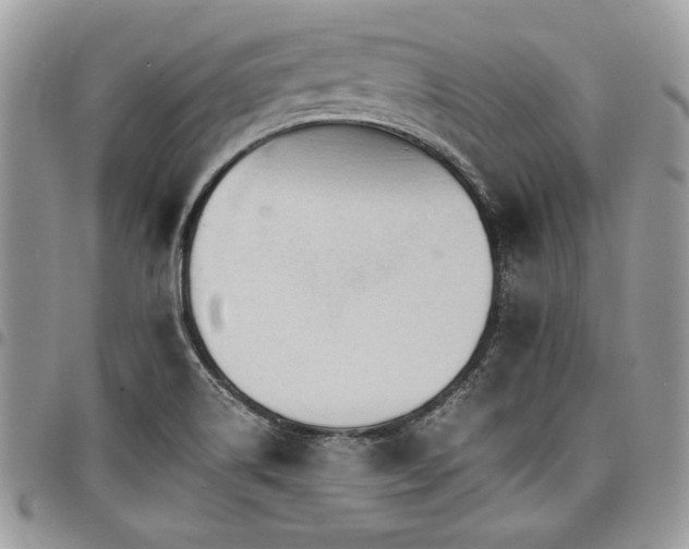 X0000098041514200803281420