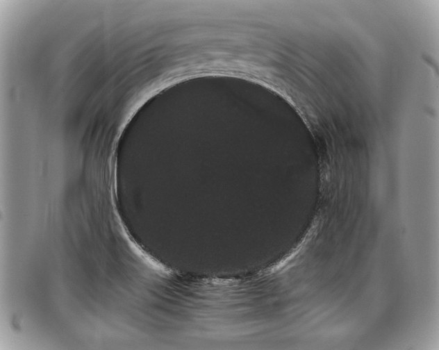 X0000098041515200803281420
