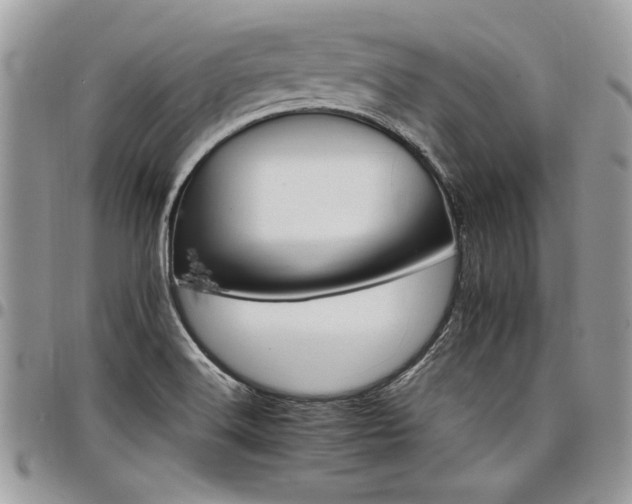 X0000098041516200803281420