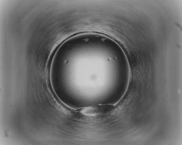X0000098041517200803281420