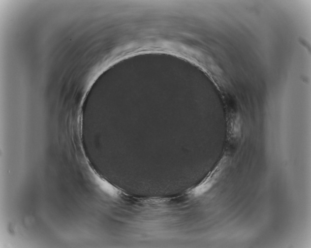 X0000098041519200803281420