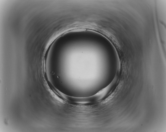 X0000098041520200803281420