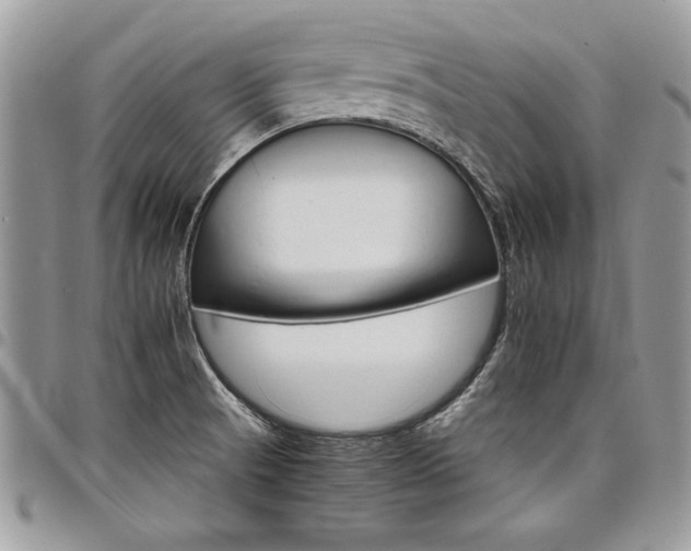 X0000098041521200803281420