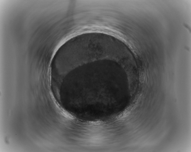 X0000098041522200803281420