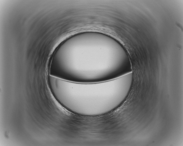 X0000098041523200803281420