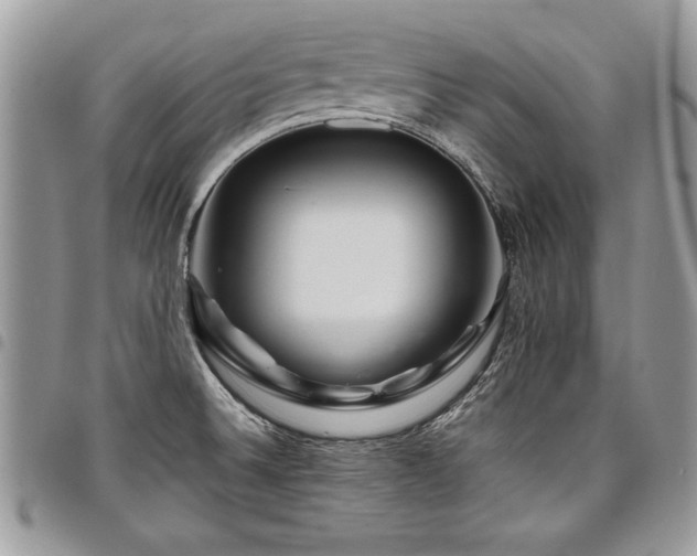 X0000098041524200803281420