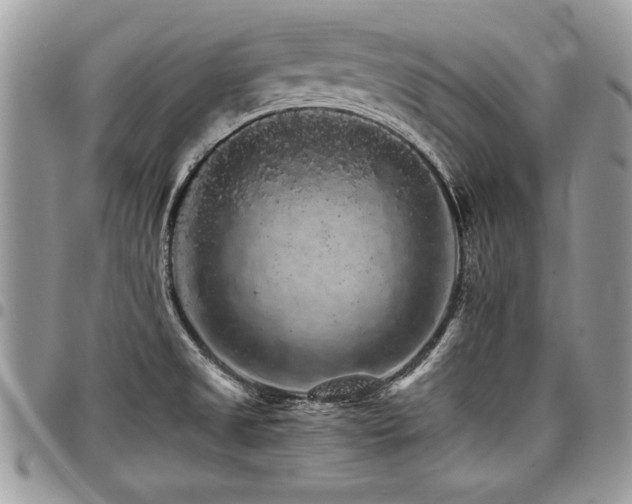 X0000098041525200803281420