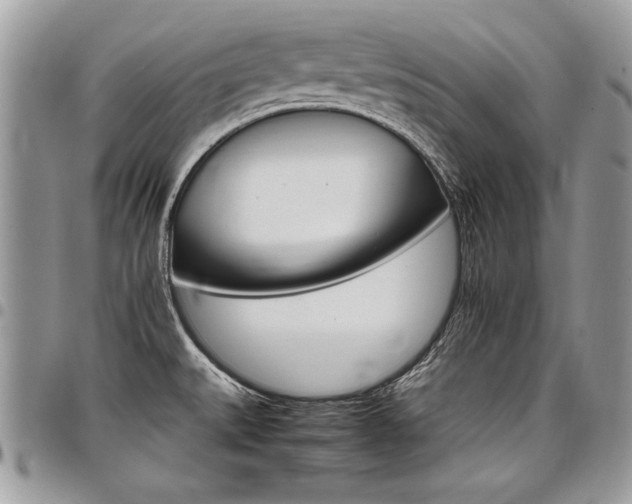 X0000098041527200803281420